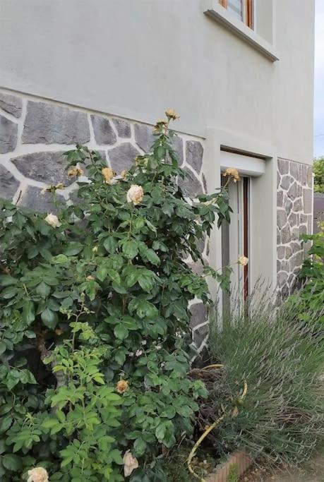 Appartement Grand Avec Jardin Et Entrée Privative à Noter Réservations De 3 Nuits Minimum Clermont-Ferrand